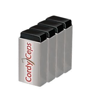 Cordyceps